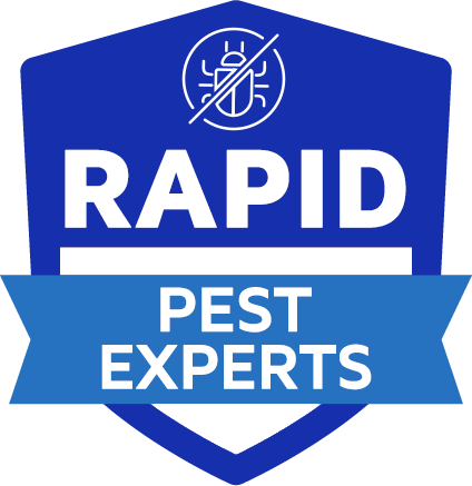 Rapid Pest Experts