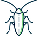 Cockroaches