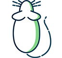 Mice & Rats