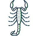 Scorpions